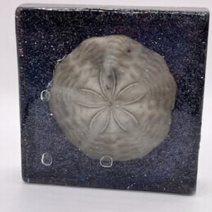 Sand Dollar Resin Art