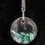 Clear Round Dolphin Necklace
