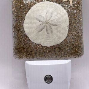 Sand Dollar Night Light